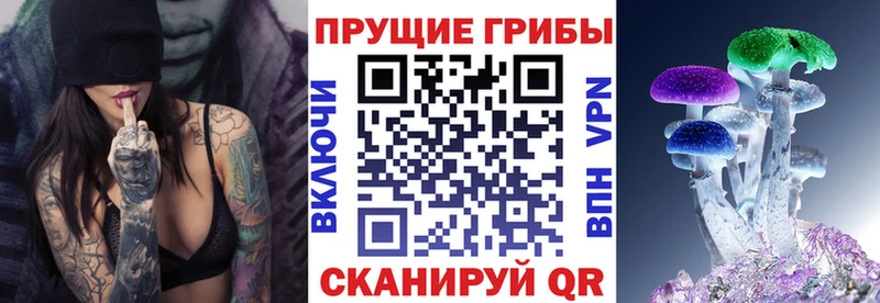 Галлюциногенные грибы прущие грибы  Черноголовка 